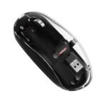 Zebion Bold Transparent Bluetooth Wireless Mouse Dual Mode RGB Black